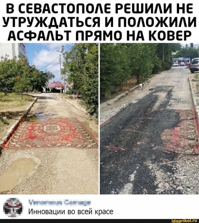 Весёлый полтишок 10.07
