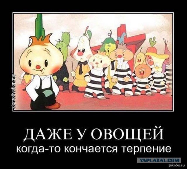 В России допустили появление налога на мясо