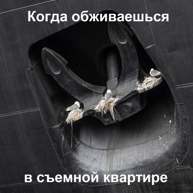 Картинки и мемы для настроения 09.08.2021