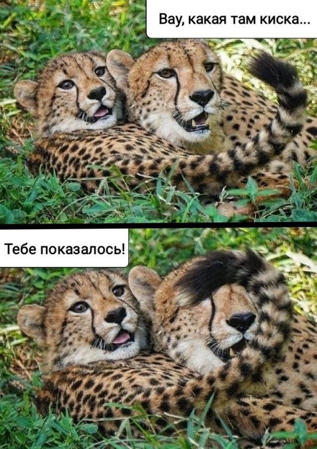 Кубик Рубика
