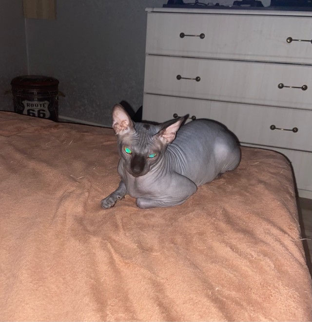 Мой самый первый КОТовторник!
