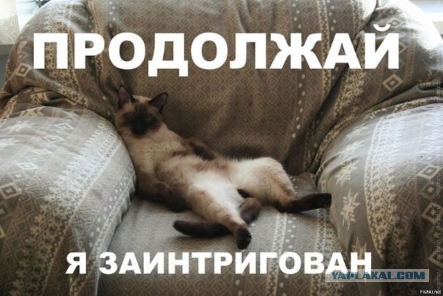 Тащи с завода каждый гвоздь - ты здесь хозяин, а не гость