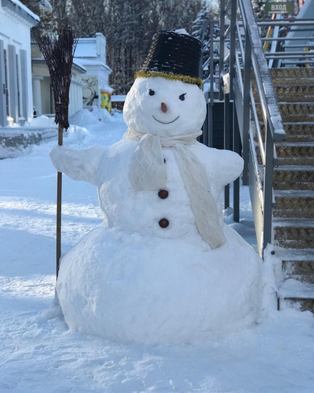 Норвежский король