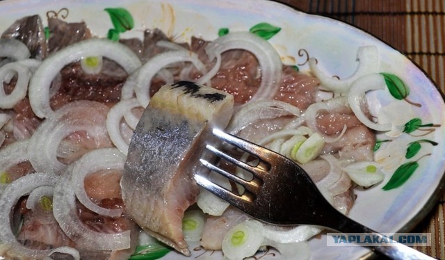 Селёдка