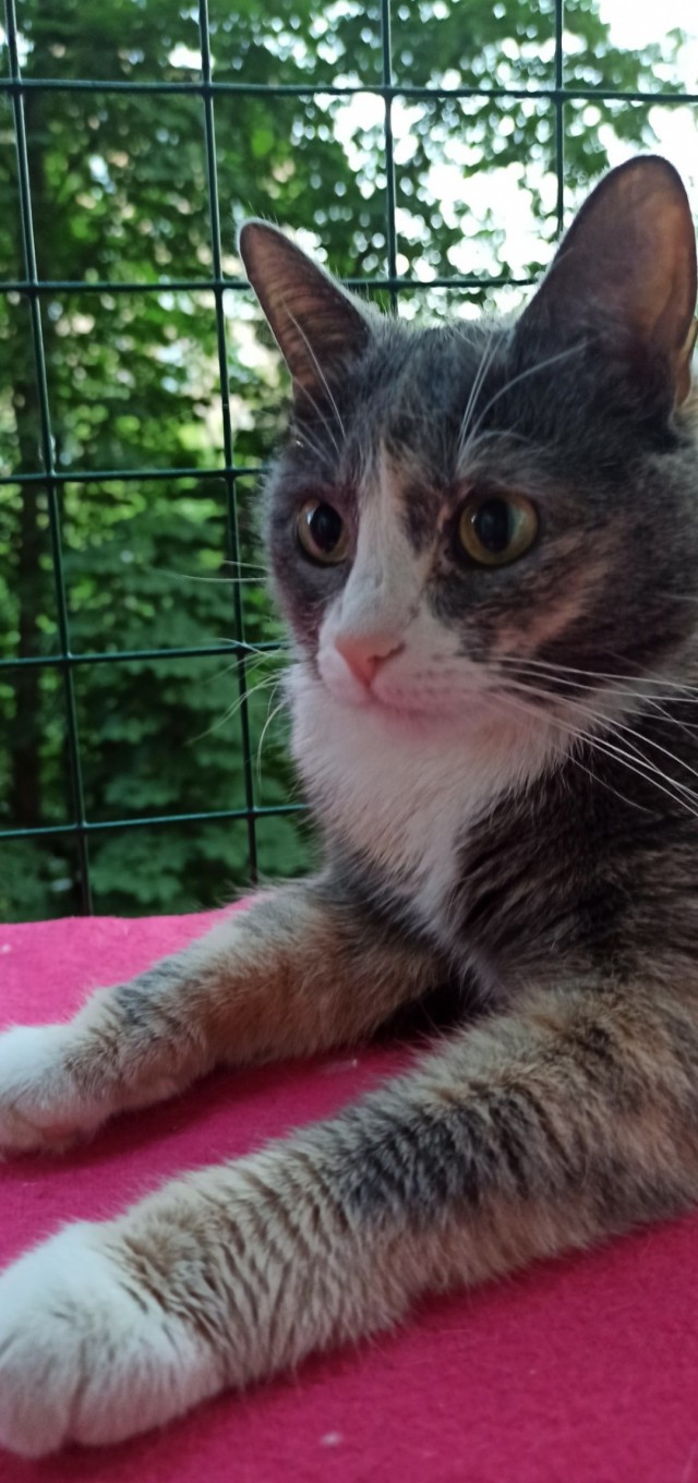 Начну котовторник чуть раньше!
