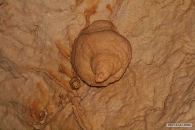 Южный берег Крыма