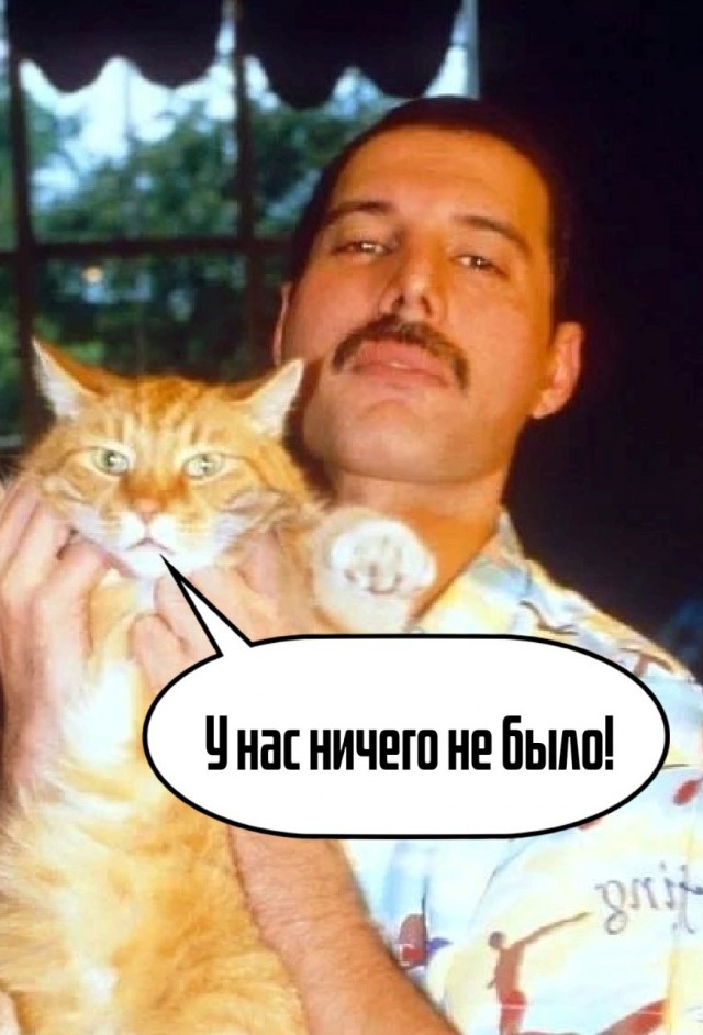 Фредди и кот