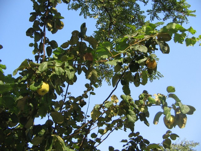 Отдых в Черногории (сентябрь 2012)