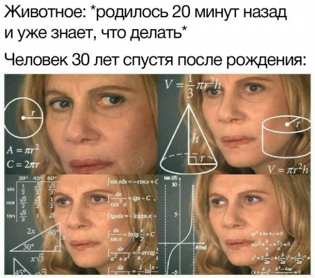 Картинки и мемы для настроения - 17