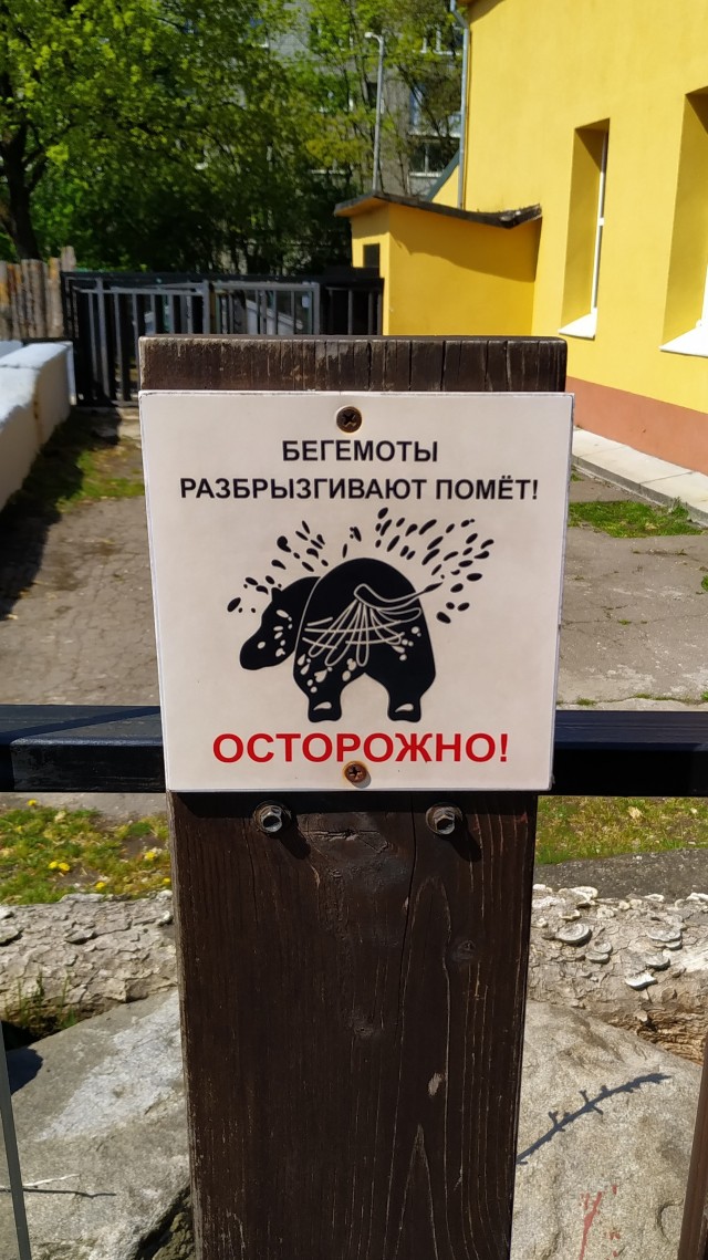 Ноготки