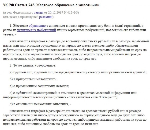 Хозяин выбросил в Енисей больного кота. Но котейке повезло