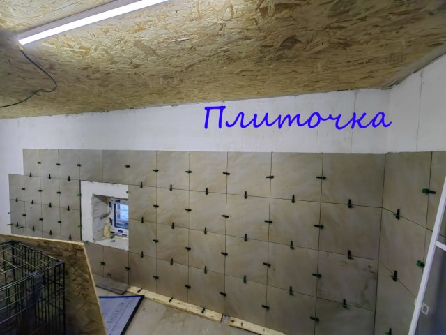 Жизнь домашнего приюта "Котоленд" 378
