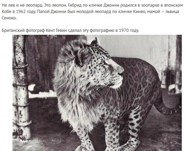 Так себе картинки 08.05.23