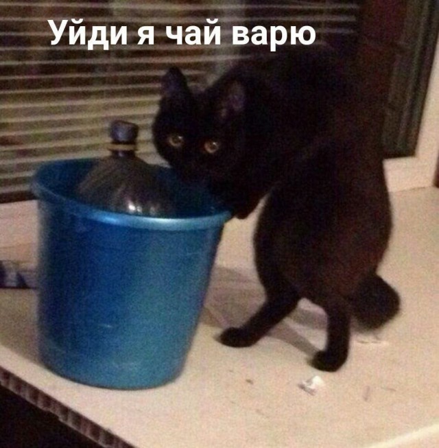 Пришёл в гости