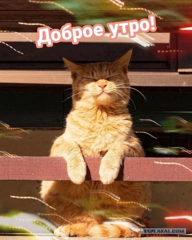 Мужики, одумайтесь! Памятка одинокому мужчине при переезде из города в деревню