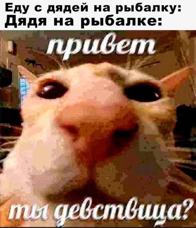 Неадекватность