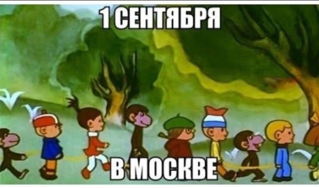 Разборка москвичей