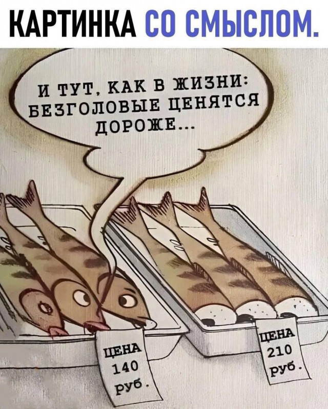 Весёлый полтишок 13.03.24