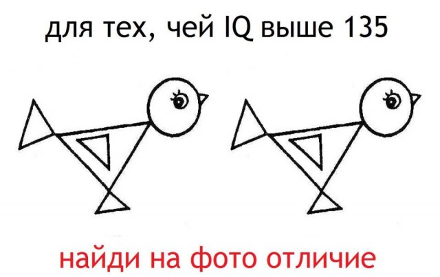 Так себе картинки 17.04.24