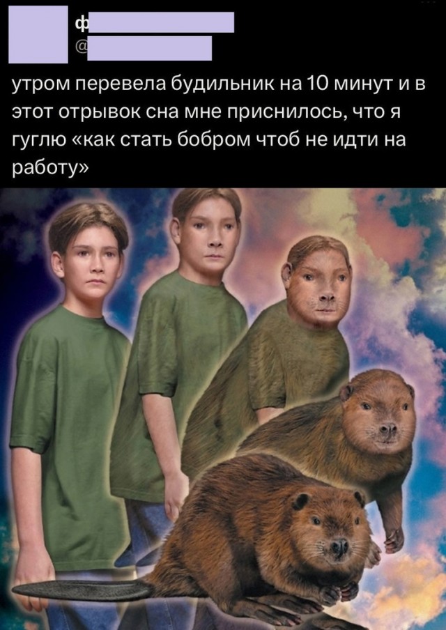 Так себе картинки 08.05.24