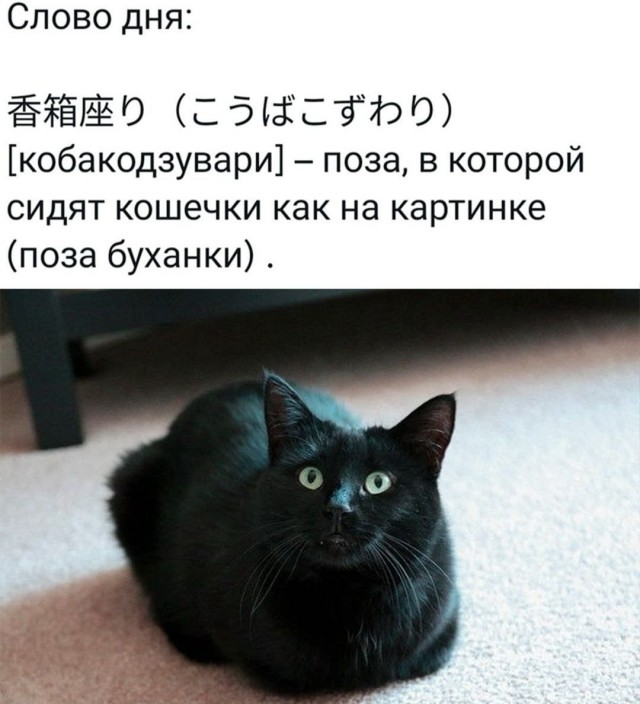Никакие картинки