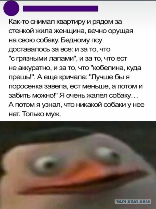 Новая неделя - новые баяны