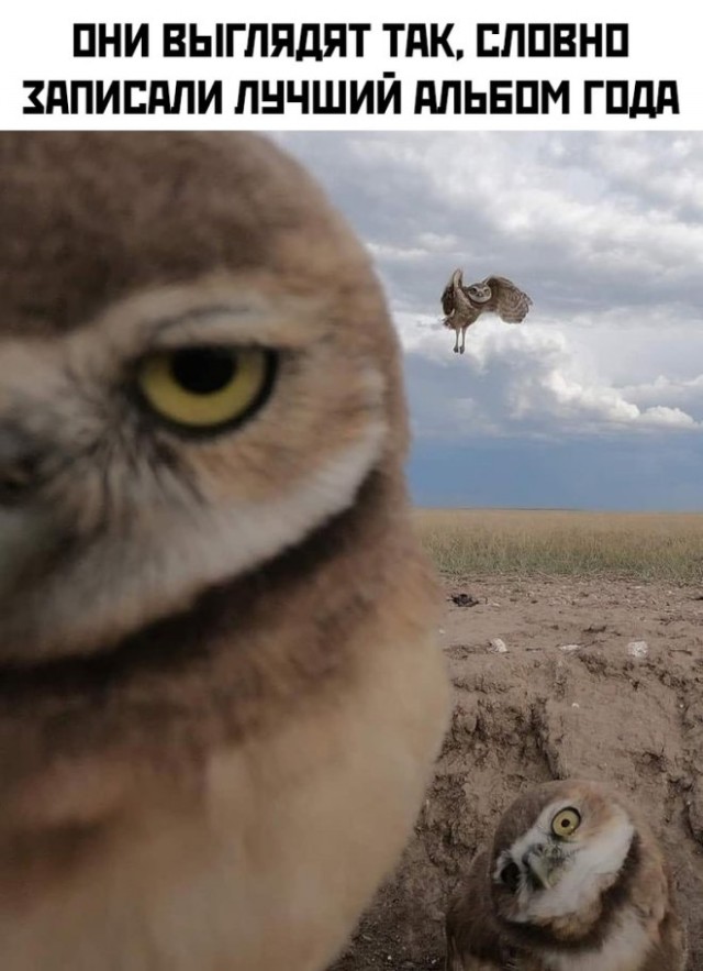 Так себе картинки 06.10.24