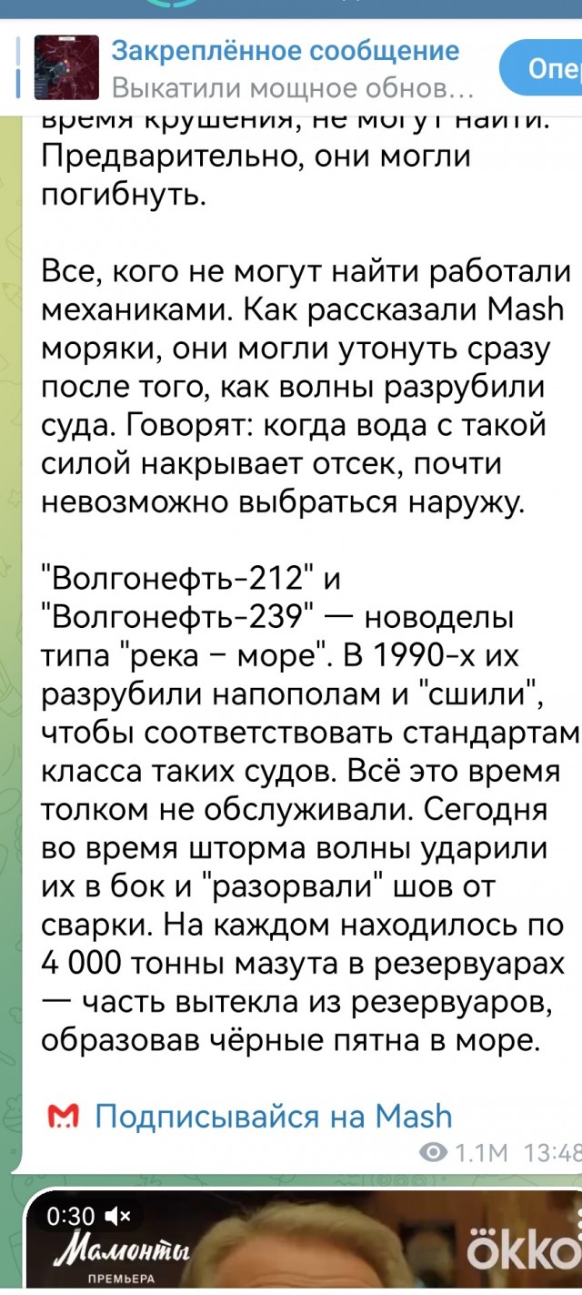 Жители Краснодарского края спасают птиц, попавших в мазут после крушения двух танкеров «Волгонефти»