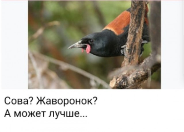 Так себе картинки 06.03.25