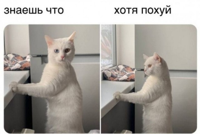 Этиловая наркомания