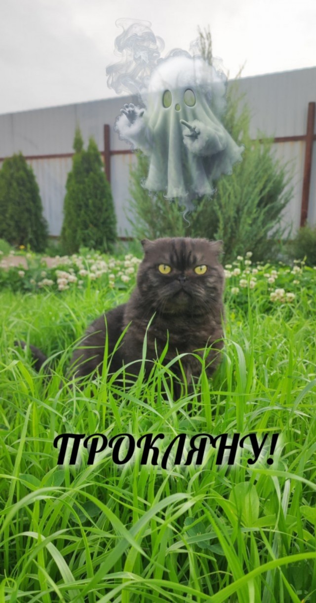 Ура! На дачу!