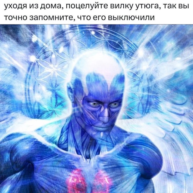 Весёлый полтишок 08.07.25