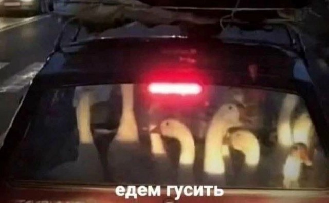 Гусиная тема