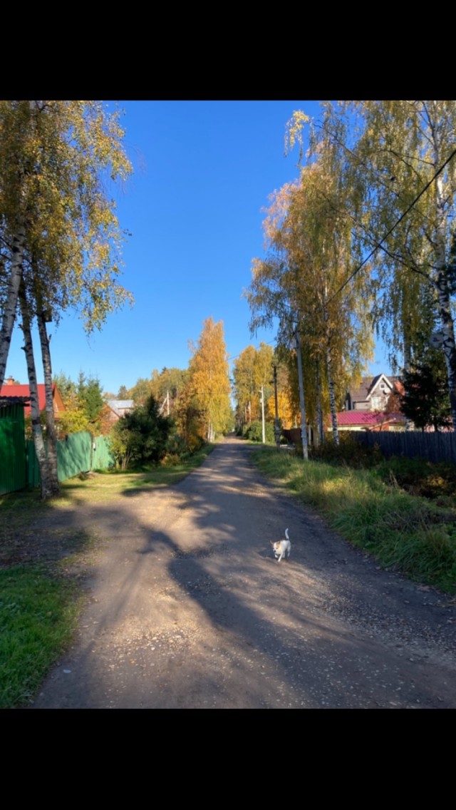 От осени до осени