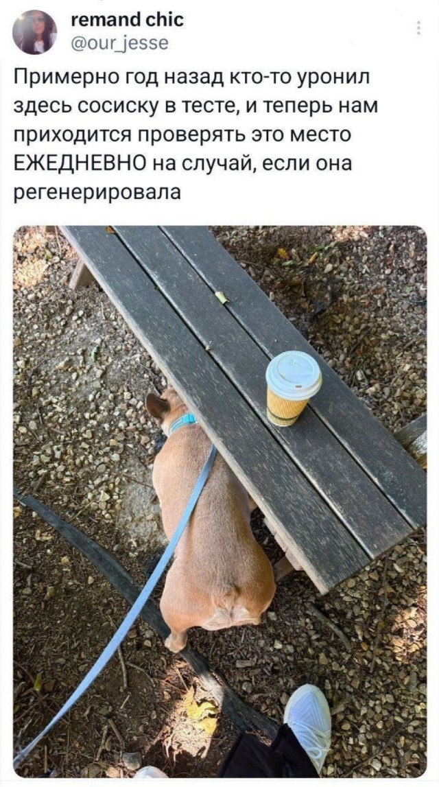 Так себе картинки 26.09.25