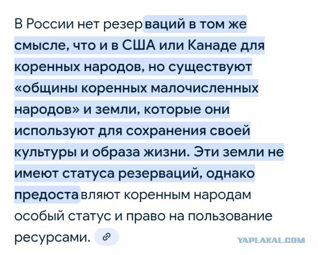 Кадыров назвал депутата Шаманова преступником, которого нужно отдать под трибунал