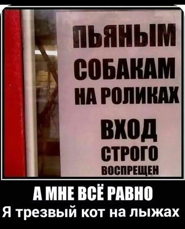 Прикольные и просто красивые картинки 31.10.2025