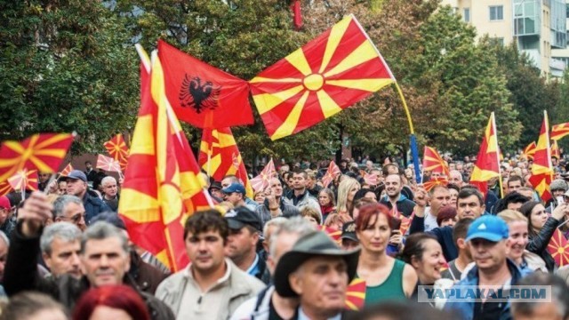 Демографический итог Албании - все печально
