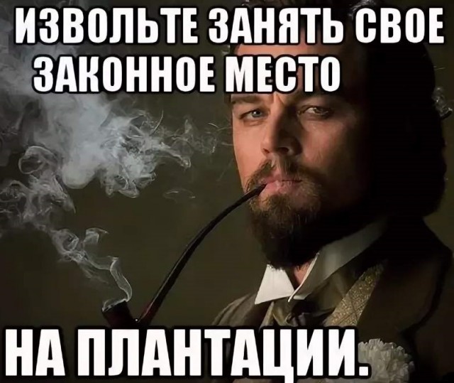 Укрощение одичавшей самки бегемота