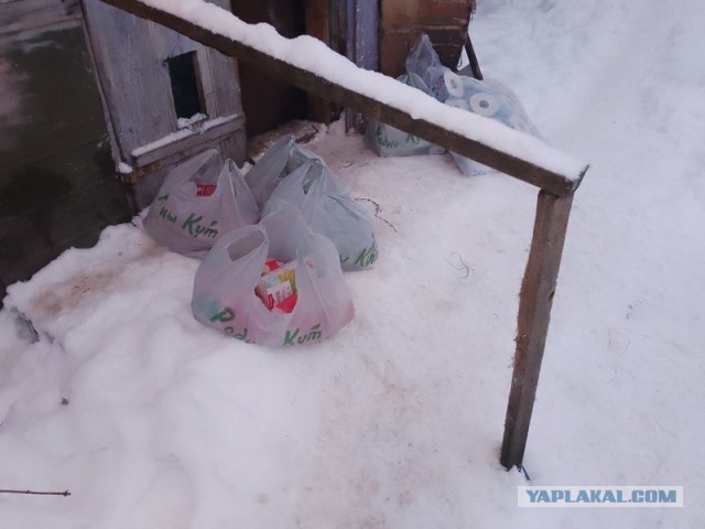 Жизнь домашнего приюта для котеек 570