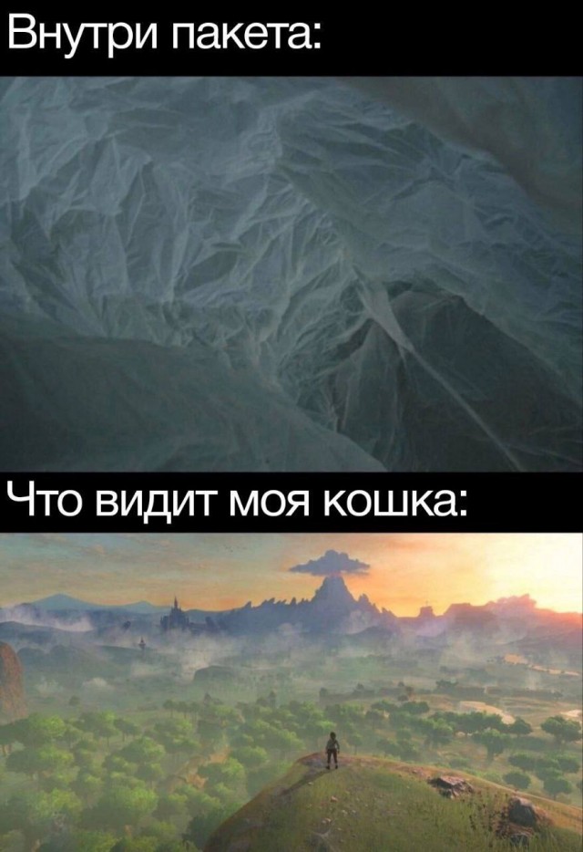 Картинки для деградации 160 (разной степени свежести)
