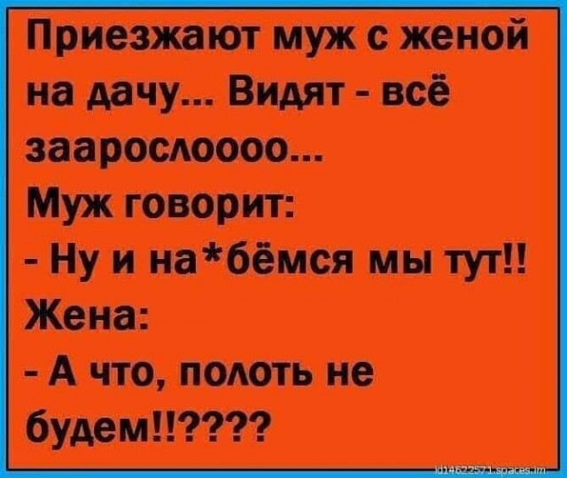 Субботние картинки