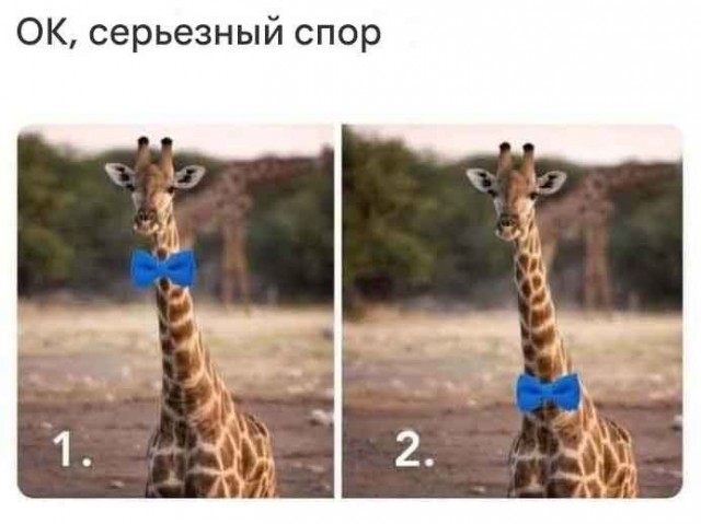 Субботние картинки