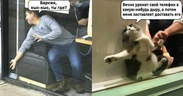 Подборка картинок к котовторнику