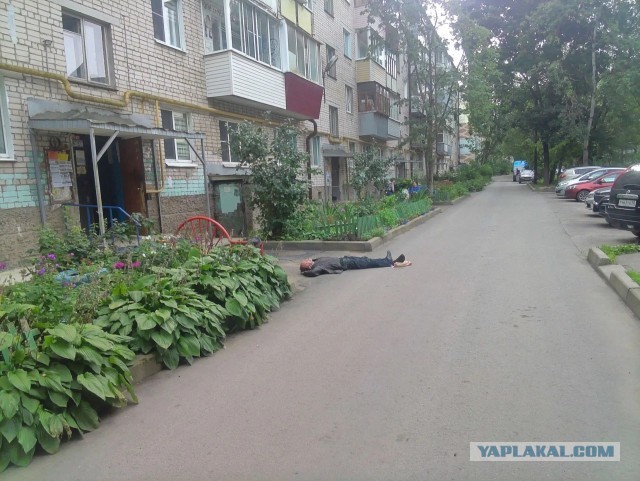 Находка на дороге