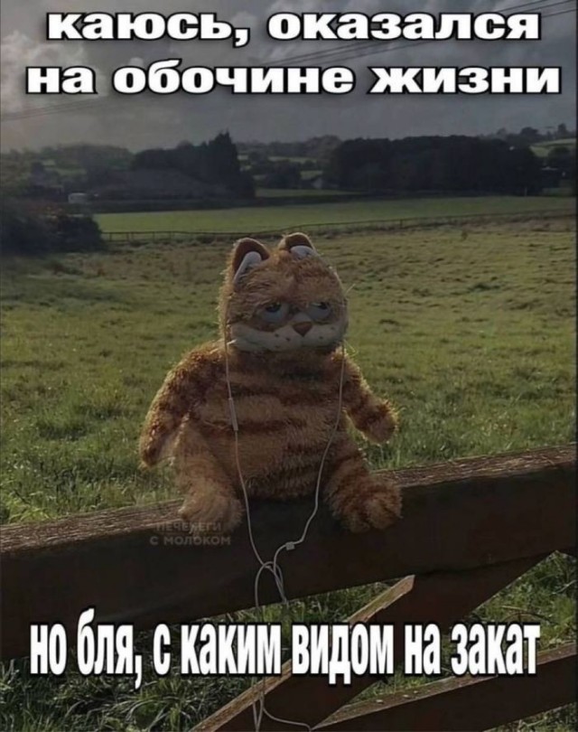 Картинки для деградации 282 (разной степени свежести)