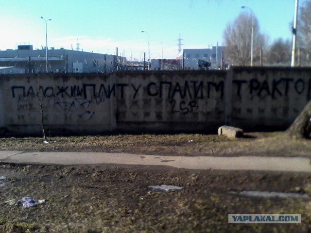 Выносящие мозг надписи на асфальте