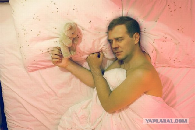 Фотожаба: Медведев жарит яишницу