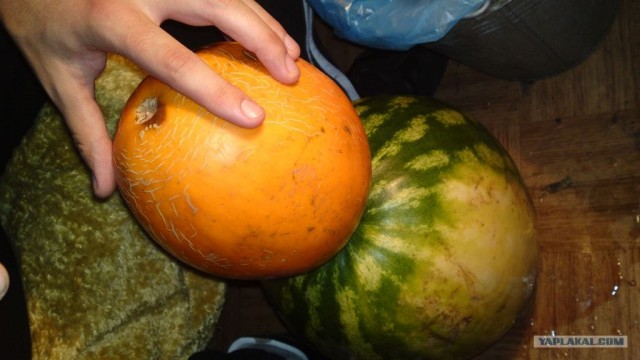 Фруктовый кальян