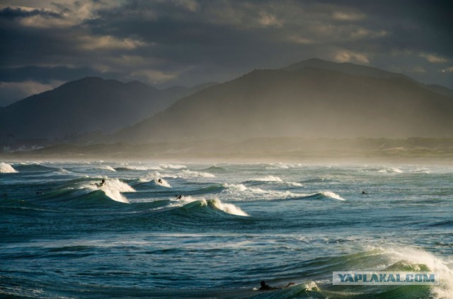 Хочу в Бразилию
